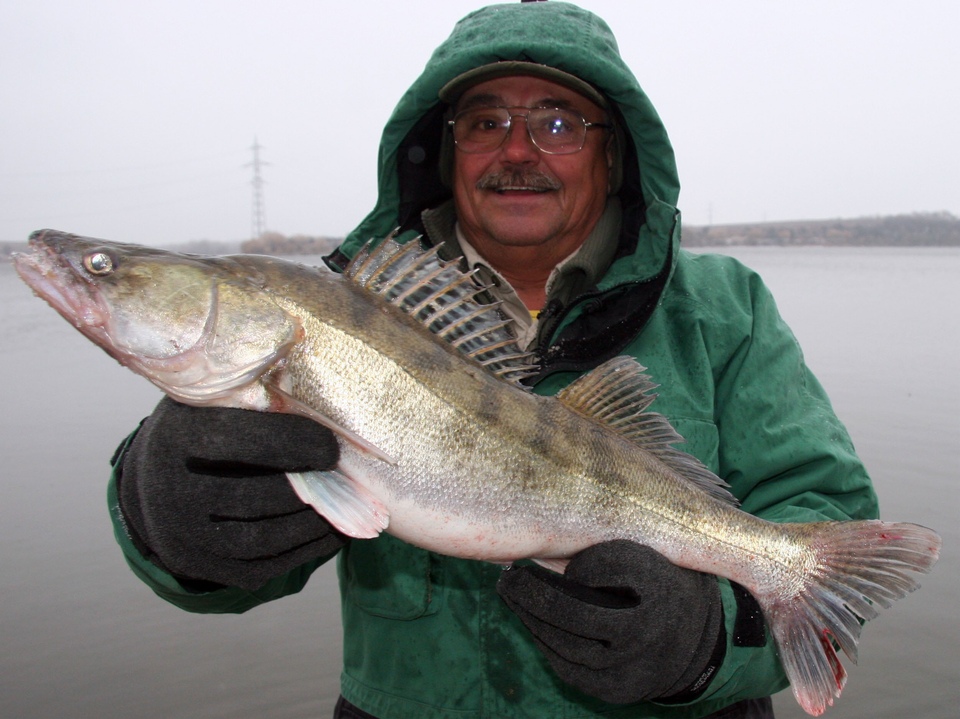 Documentary Hodula Fishing - Na stopě candátů dunajské Delty