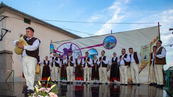Smotra narodne glazbe i plesa Puljštine