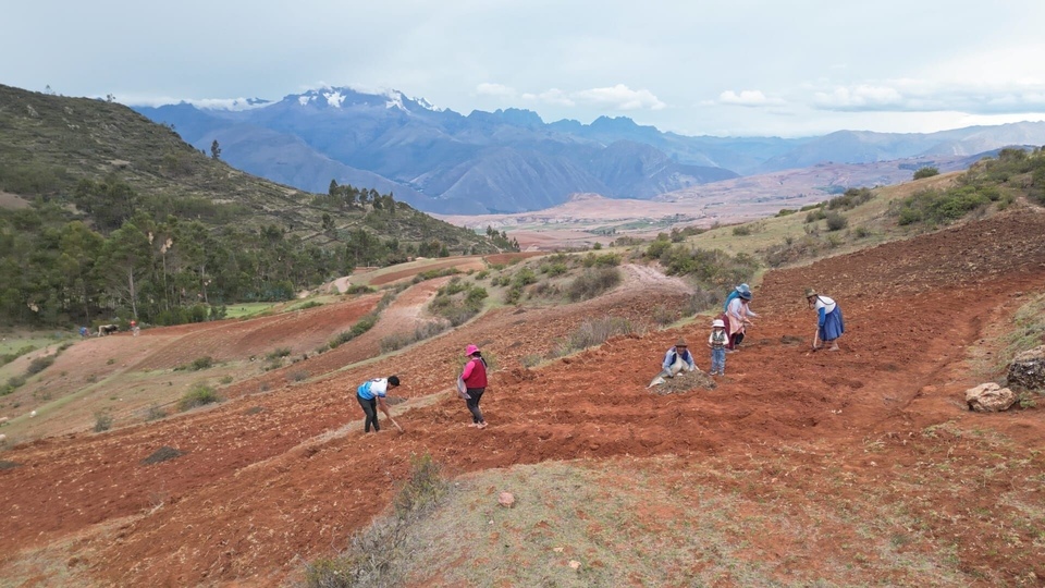 Documentary Chaud patate ! La pomme de terre en danger