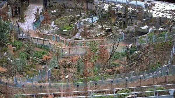 Zoo v karanténě