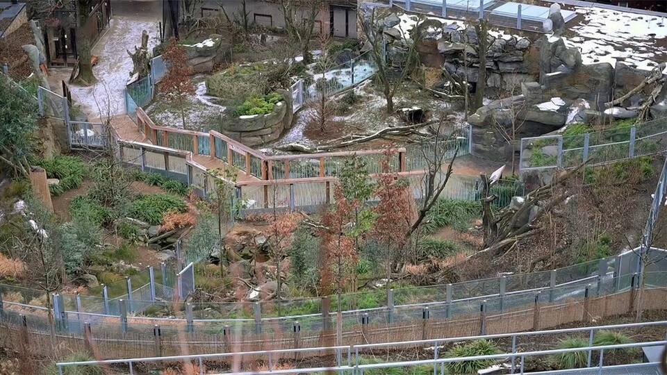 Документ Zoo v karanténě