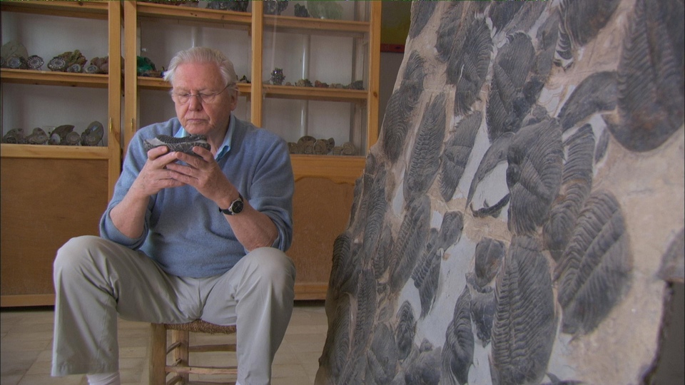 Dokumentarci Životni put Davida Attenborougha