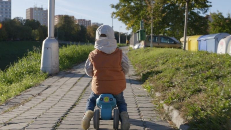 Documentary Plné hnízdo ve Zlínském kraji