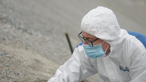 Lov na nejstarší DNA