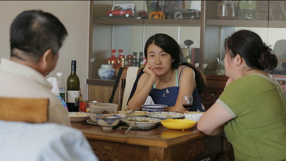 Documentary Usidjelice