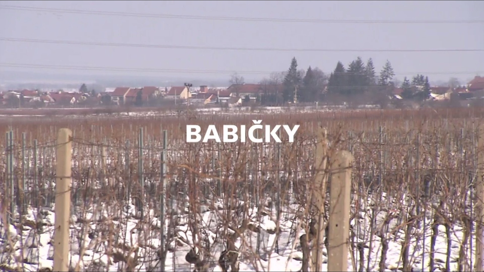 Documentary Babičky