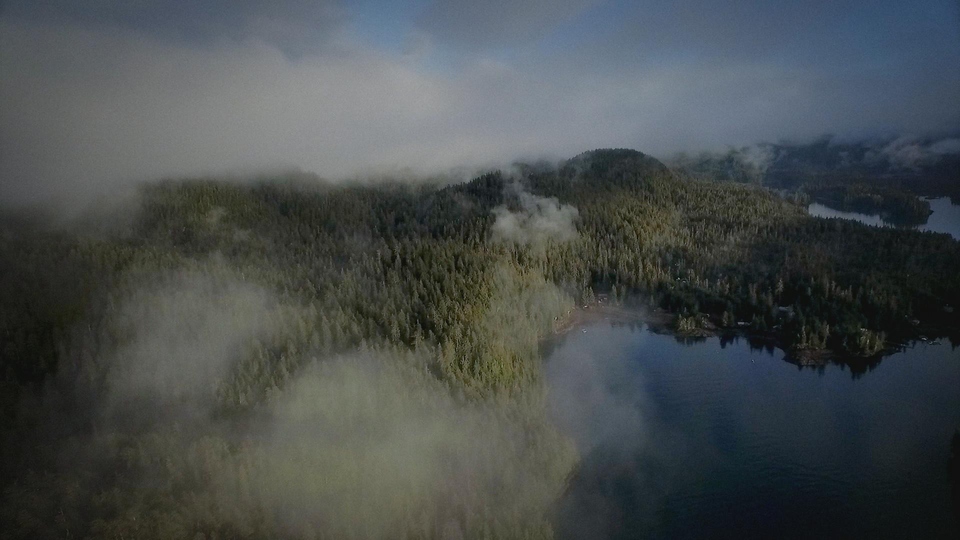 Documentary Odludna wyspa: Reprezentacja