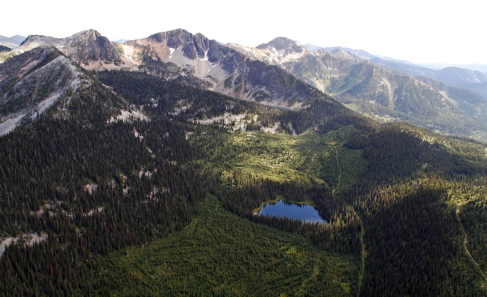 Dokument Darkwoods: Perla Britské Kolumbie