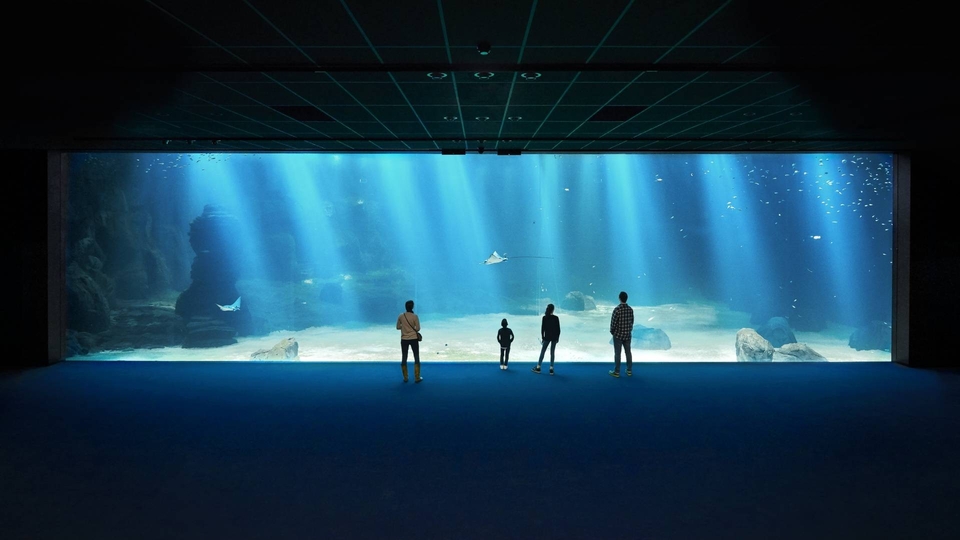 Dokumentarci Megaakvarij: Nausicaa