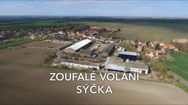 Zoufalé volání sýčka