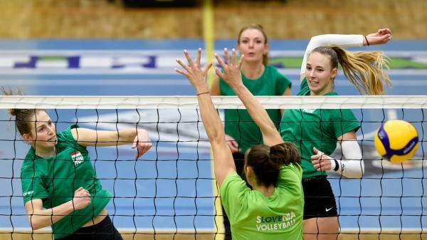 Női röplabda Aranyliga