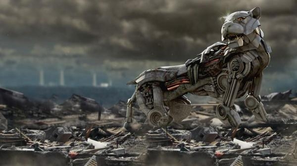 Mačka iz budućnosti