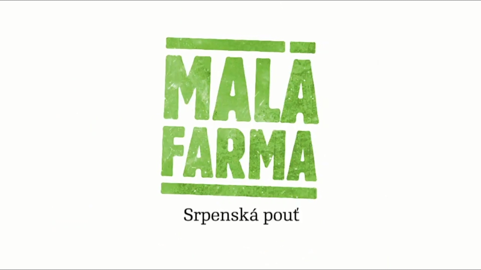 Srpenská pouť