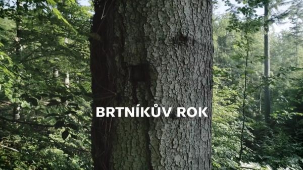 Brtníkův rok