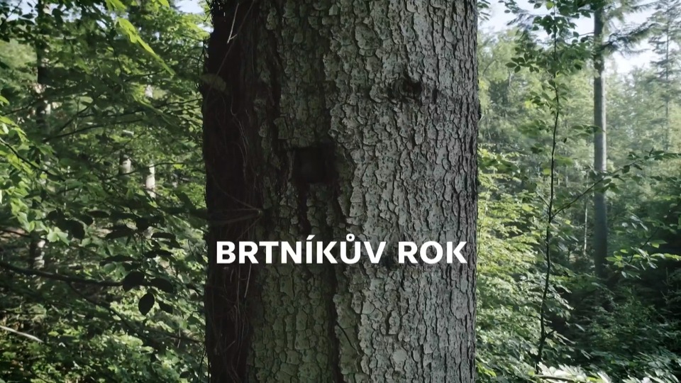 Dokument Brtníkův rok