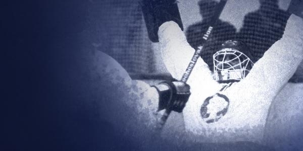 Rytíři paní Poldi