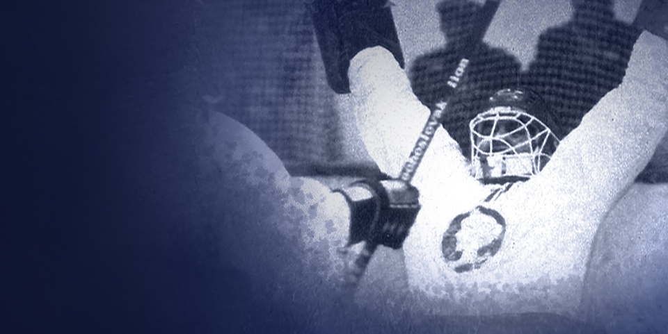 Rytíři paní Poldi