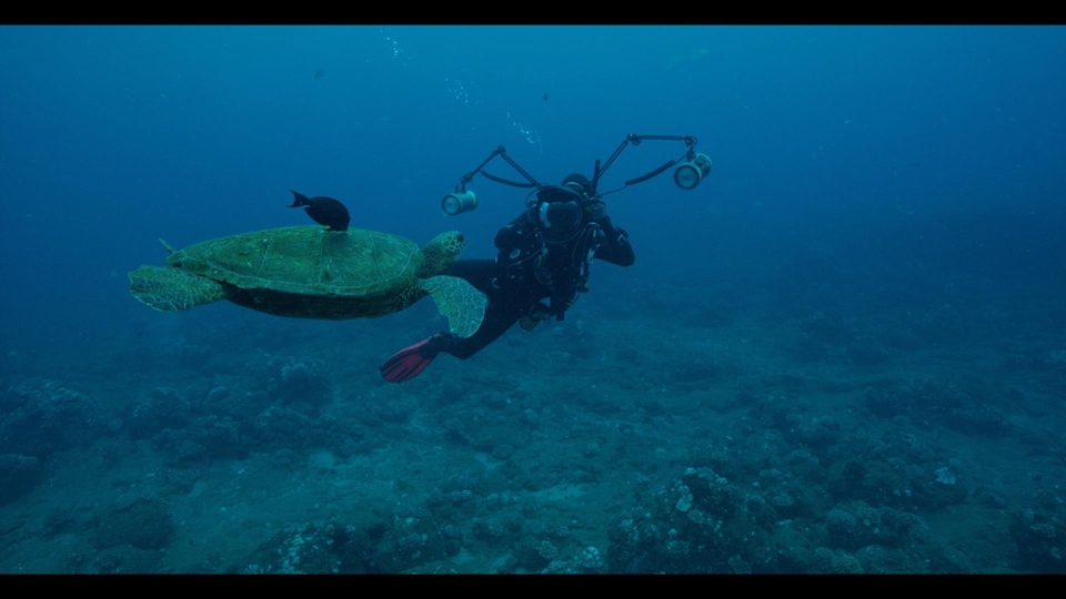 Dokument Podwodne skarby Ameryki