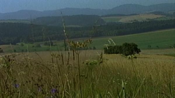 Jarmek aneb pokračovat a vydržet