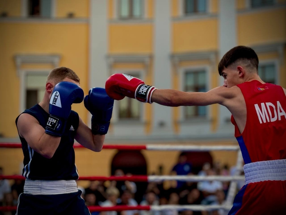 Boks. Matcheva zustrich. Ukrayina - Moldova