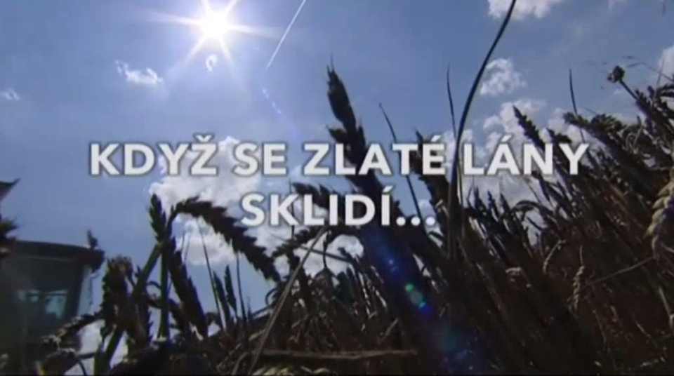 Dokument Když se zlaté lány sklidí...