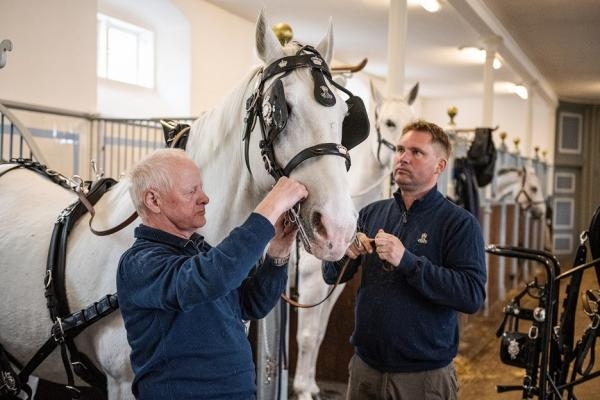 V službách kráľov