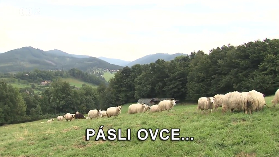 Documentary Pásli ovce...