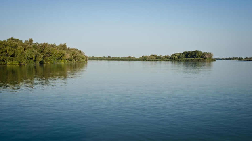 Dokument Europejska Amazonia