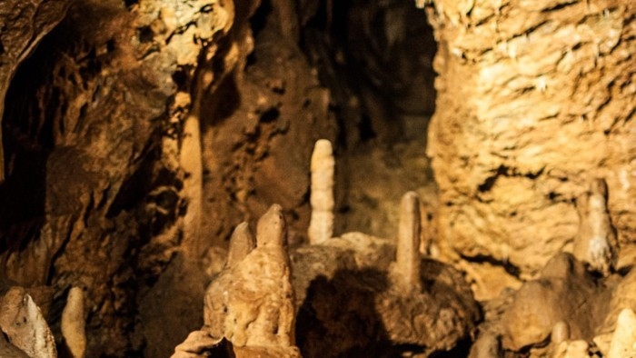 Nejlepší zahraniční přírodní svět z roku 1996 online