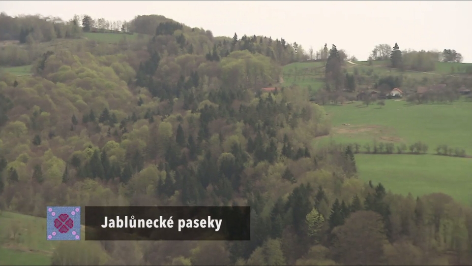 Documentary Jablůnecké paseky