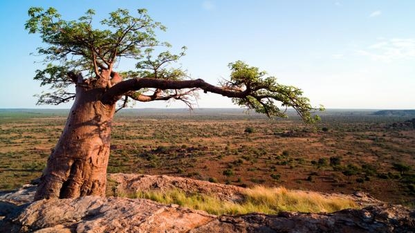 Veličanstvena Afrika