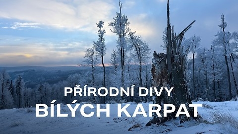 Dokument Jalovcová stráň