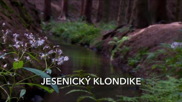 Jesenický Klondike