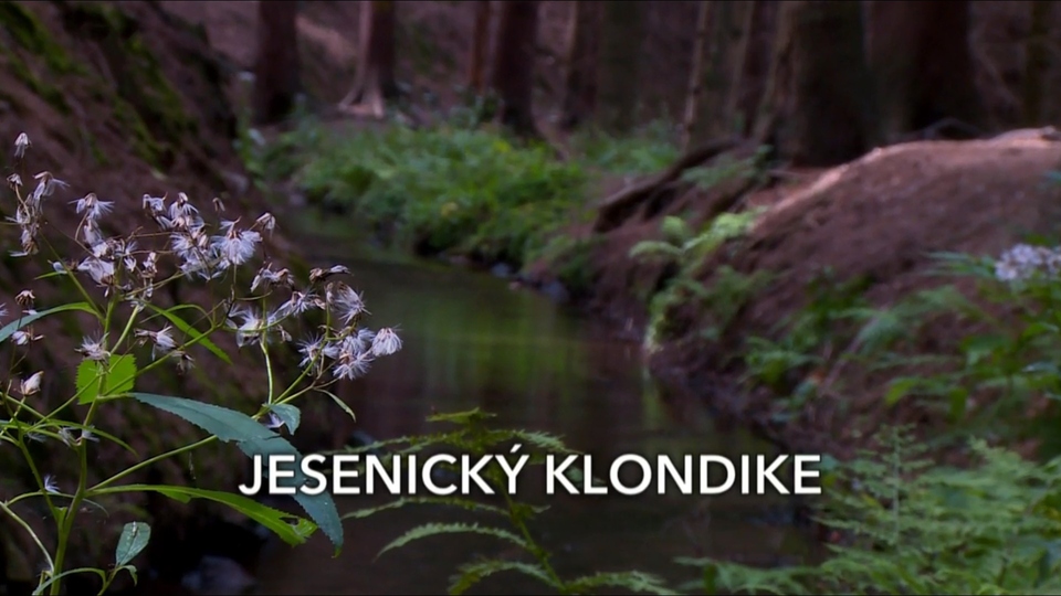Documentary Jesenický Klondike