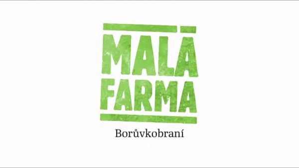 Borůvkobraní