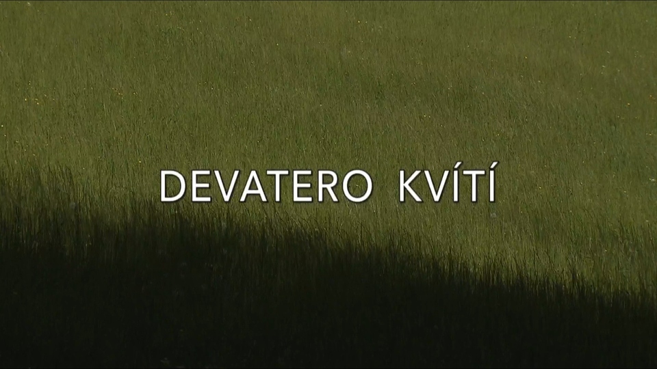 Documentary Devatero kvítí