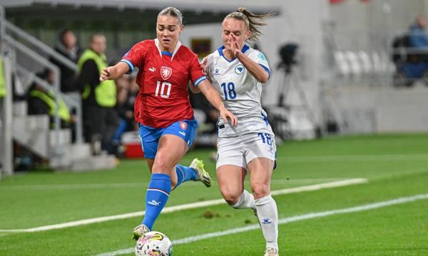 Fotbal: Dánsko - Česko