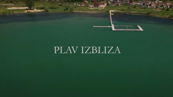 Plav izbliza
