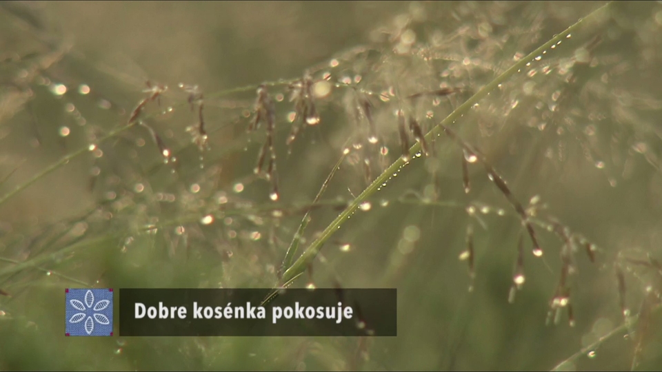Najlepšie zahraničných folk & ľudové z roku 2012 online