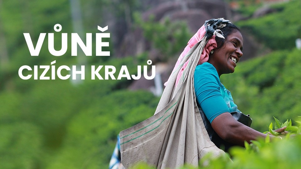Dokument Gabon, zelený skvost Afriky