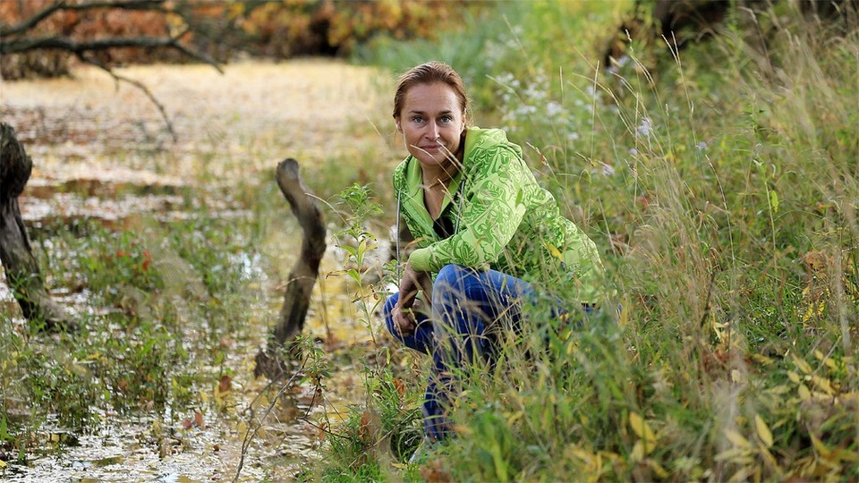 Документ Jezera a bažiny