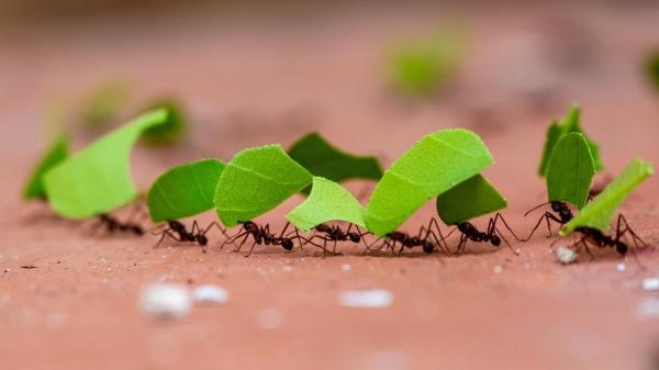 Planeta w ciągłym ruchu