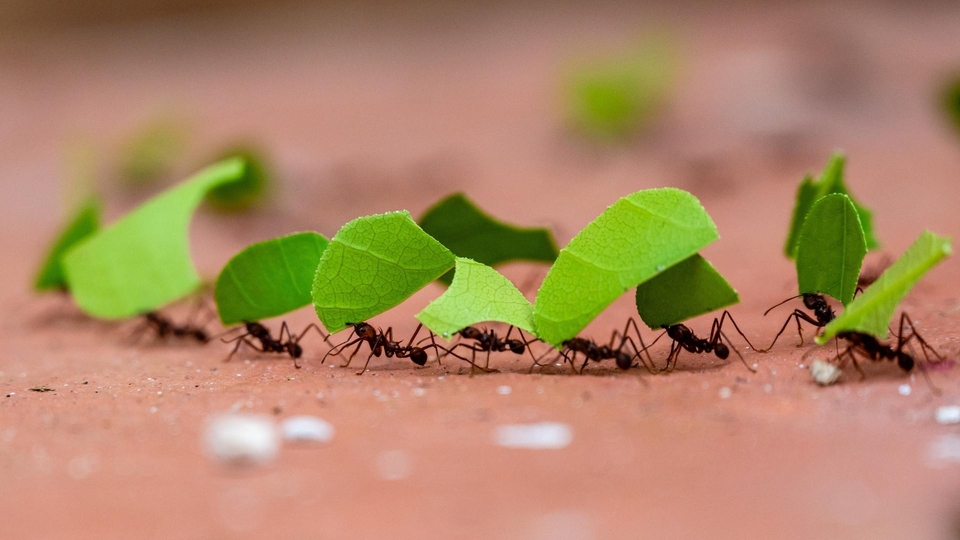 Документ Planeta w ciągłym ruchu