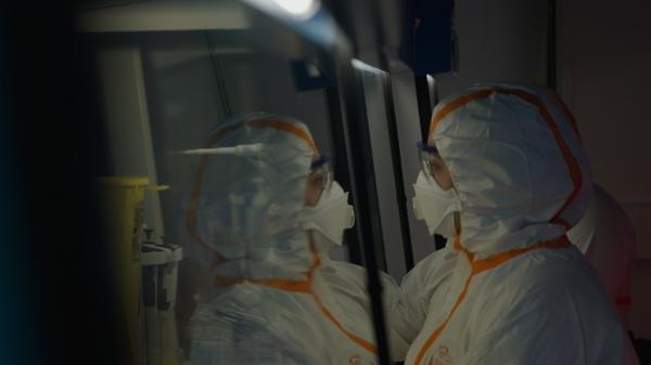 Istraga o podrijetlu COVID-a 19