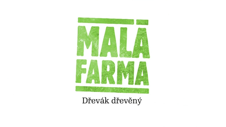 Документ Dřevák dřevěný