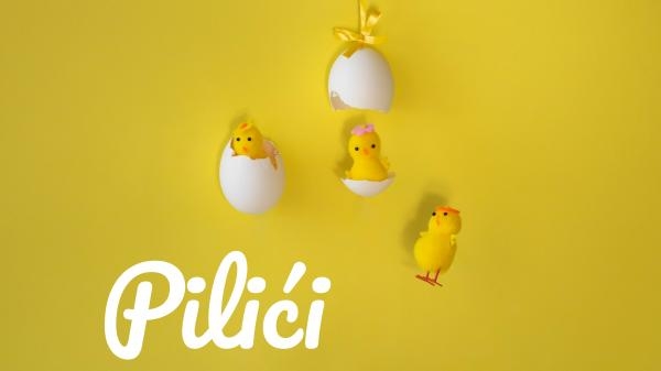 Pilići
