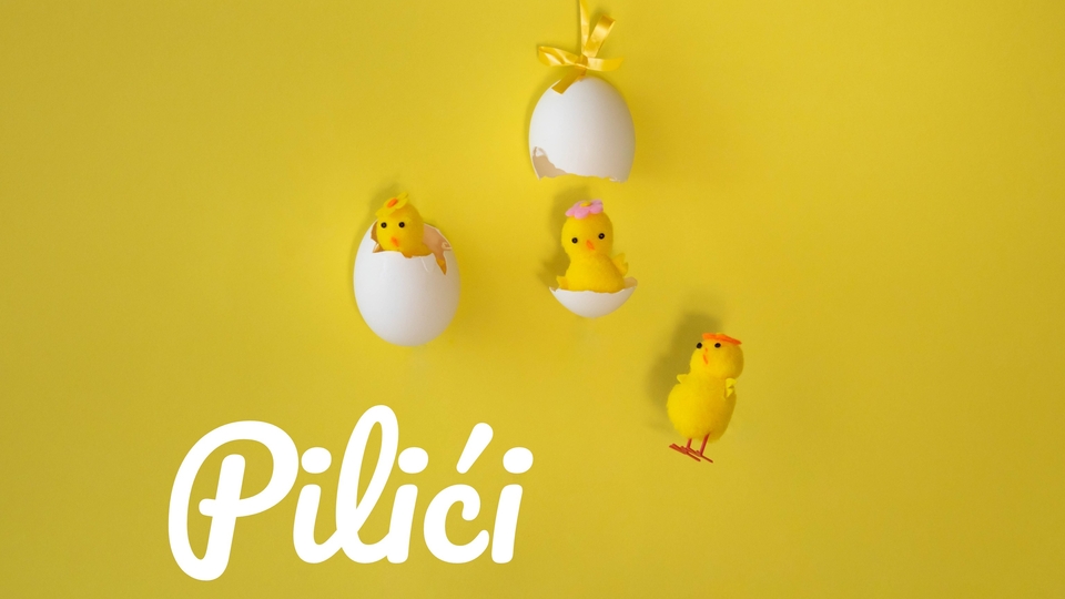 Pilići