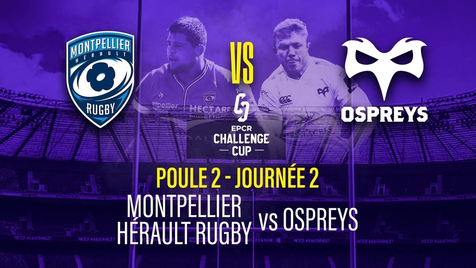Challenge Cup: Montpellier / Ospreys