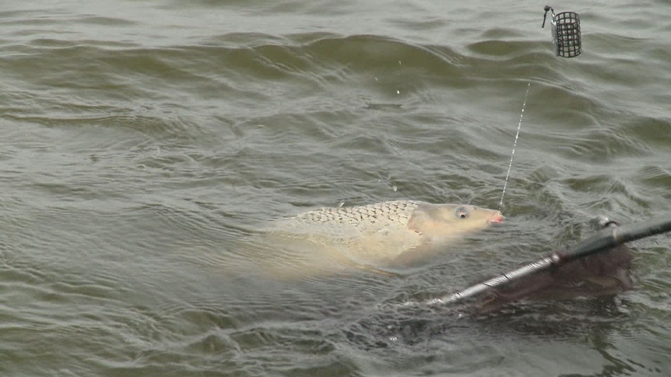 Documentary Match Fishing - Na divoké vodě