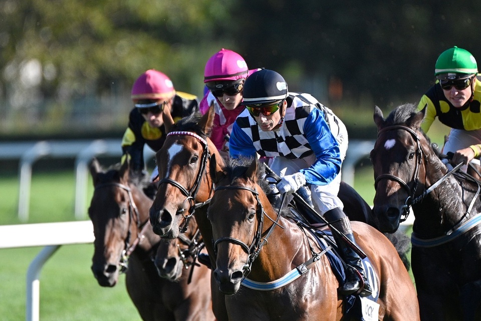 The best foreign horse racing online